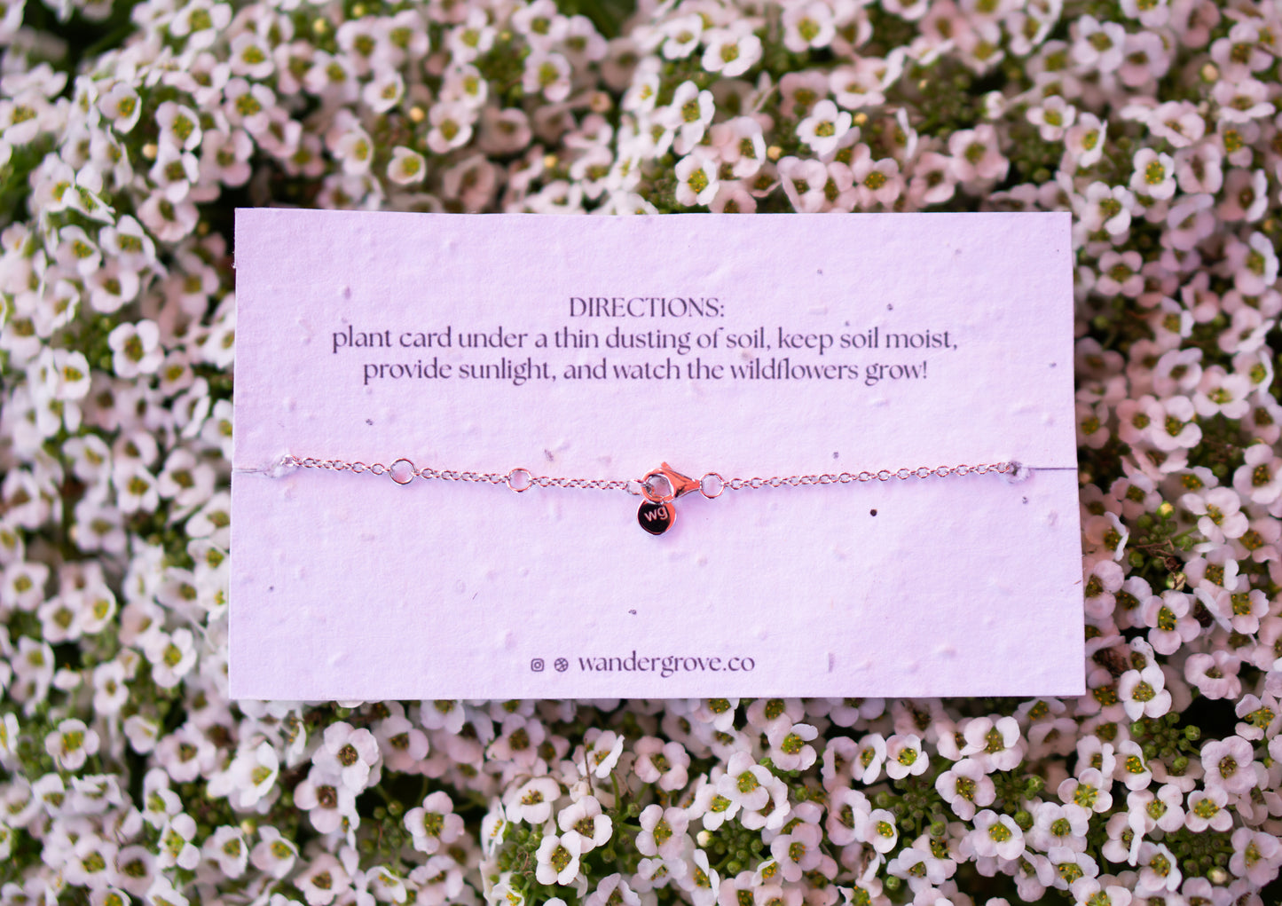 Open Roads, Half Moon Bay, CA