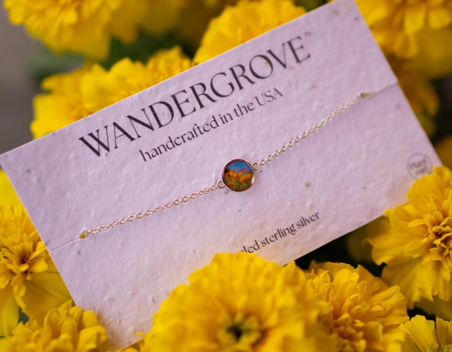 California Poppies, California