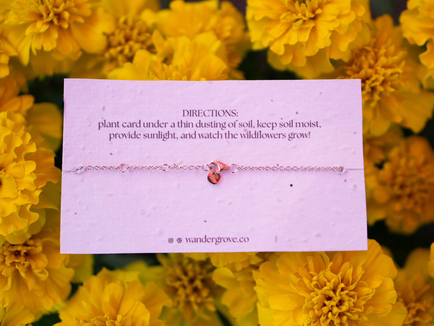 California Poppies, California