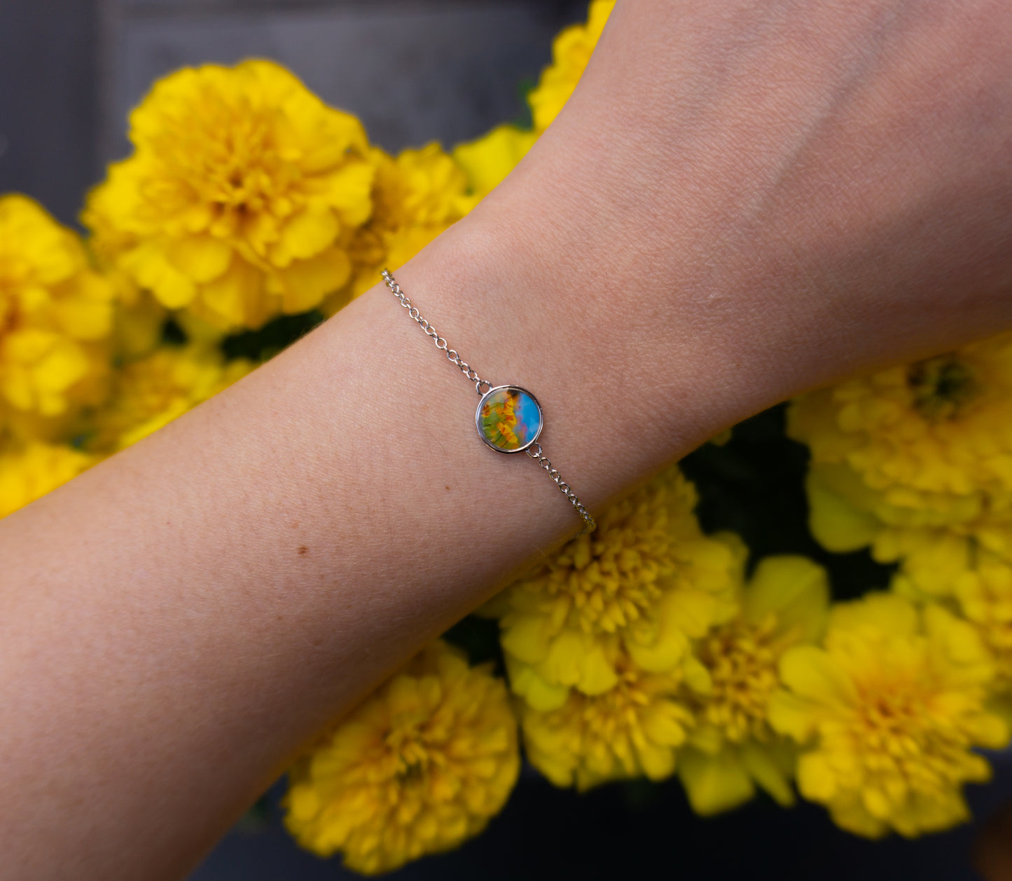 California Poppies, California